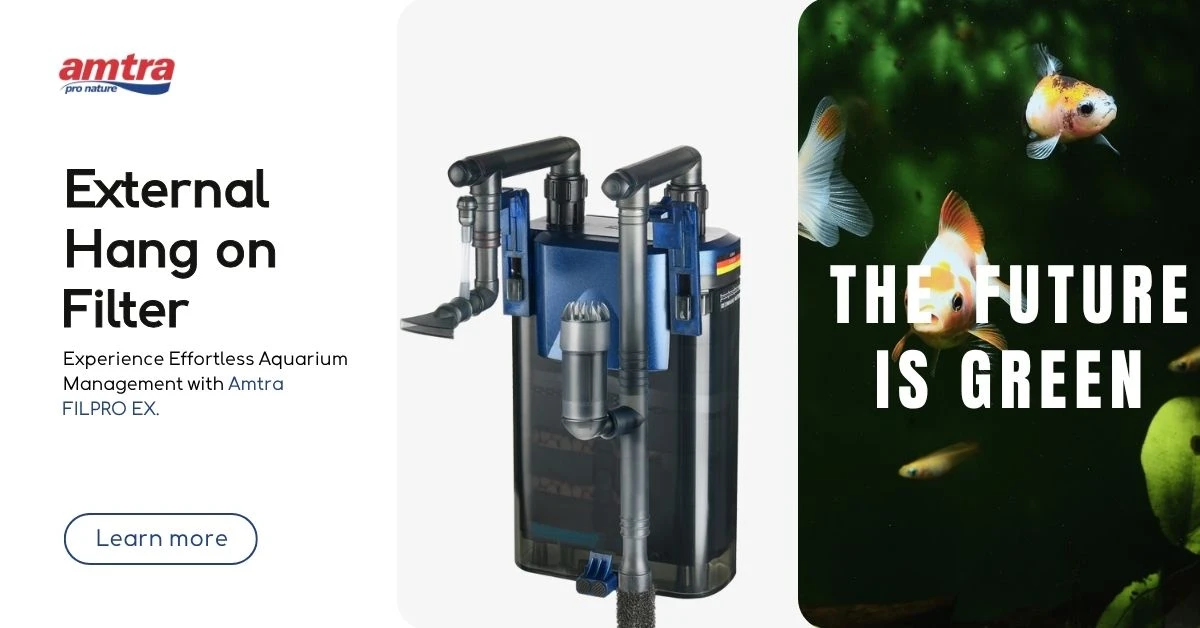 exbanner exbanner