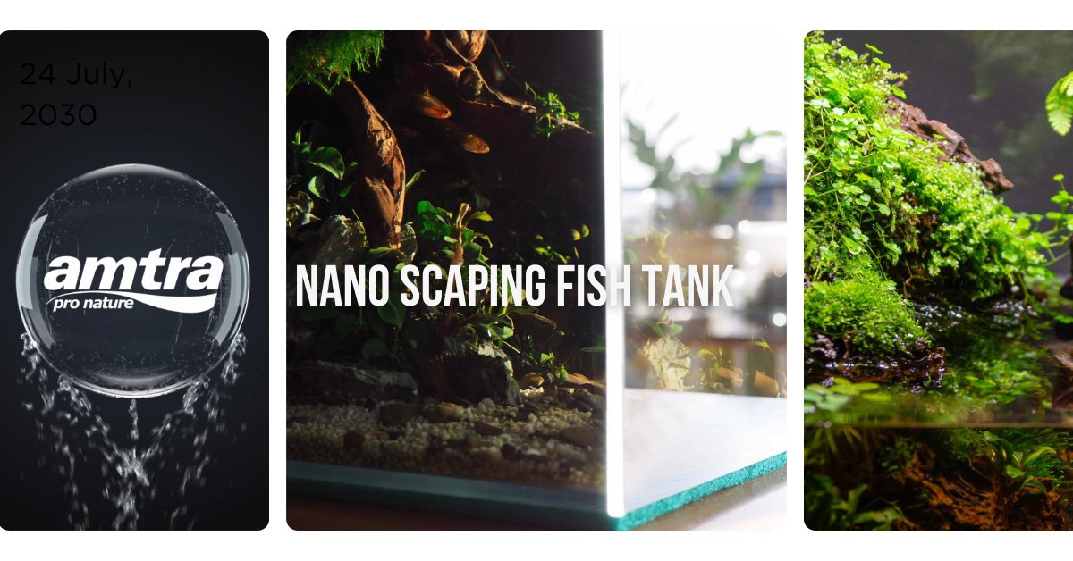 NANO SCAPING BANNER NANO SCAPING BANNER